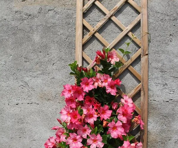 Couette-café Foresteria Di