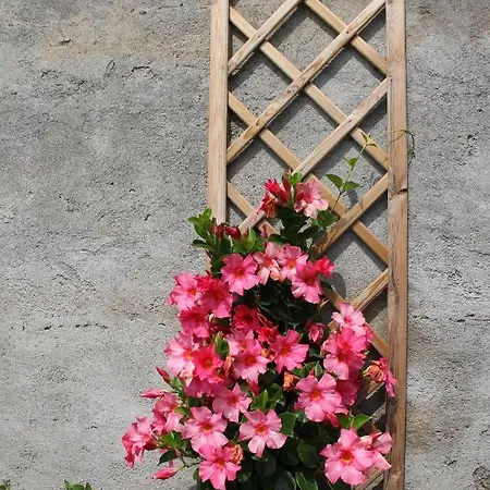 Couette-café Foresteria Di